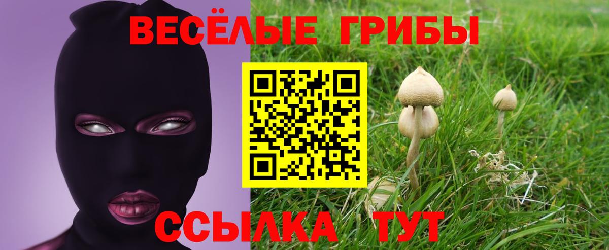 Люберцы  Галлюциногенные грибы Psilocybine cubensis  купить закладку  Псилоцибиновые грибы MAGIC MUSHROOMS  Вход с VPN 